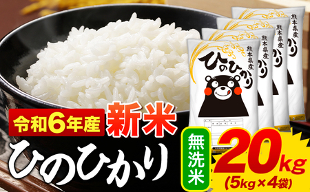 令和6年産新米 早期先行予約受付中 無洗米 ひのひかり 20kg《11月-12月より出荷予定(土日祝を除く)》|令和6年産 熊本県産 ふるさと納税 訳あり家庭用 無洗米 精米 ひの 米 こめ ふるさとのうぜい ヒノヒカリ コメ お米 おこめ