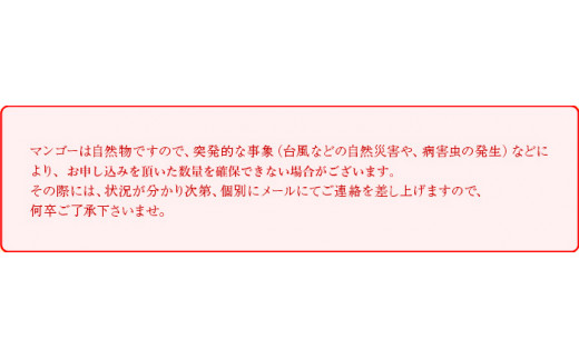 ＜鉢植え樹上　完熟マンゴー 4玉＞