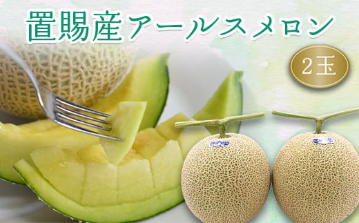 【2025年8月～9月発送分先行受付】置賜産マスクメロン（アールスメロン）約1.75kg～2.0kg×2玉_H136(R7)