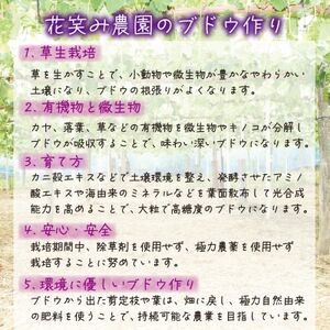 岡山　花笑み農園の『訳ありシャインマスカット』2kg　WS-2【2025年9月下旬～順次発送】【配送不可地域：離島】【1593500】