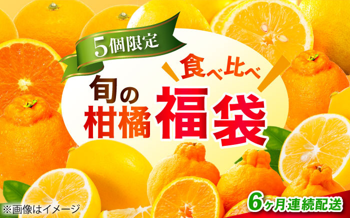 
            【全6回定期便】江田島市から旬の柑橘類をお届け！お楽しみ福袋 みかん フルーツ 果物 数量限定 期間限定 江田島市/江田島市観光協会 [XAI009]
          
