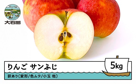 【先行予約】 りんご サンふじ 訳あり 約5kg 2026年産 令和8年産 フルーツ 果物 山形県 ns-riwax5
