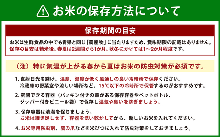 A46 【1000セット限定】福岡県産 白米10kg (10kg×1袋)  銀座の料亭 ご愛用のお米 