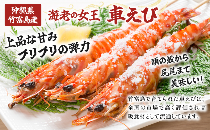 2024年 先行予約 車えび 1kg 竹富島産 冷凍 エビ