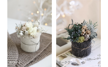 コロンウィンター【クリスマス限定！申込は11月30日まで】
 ダークグレー