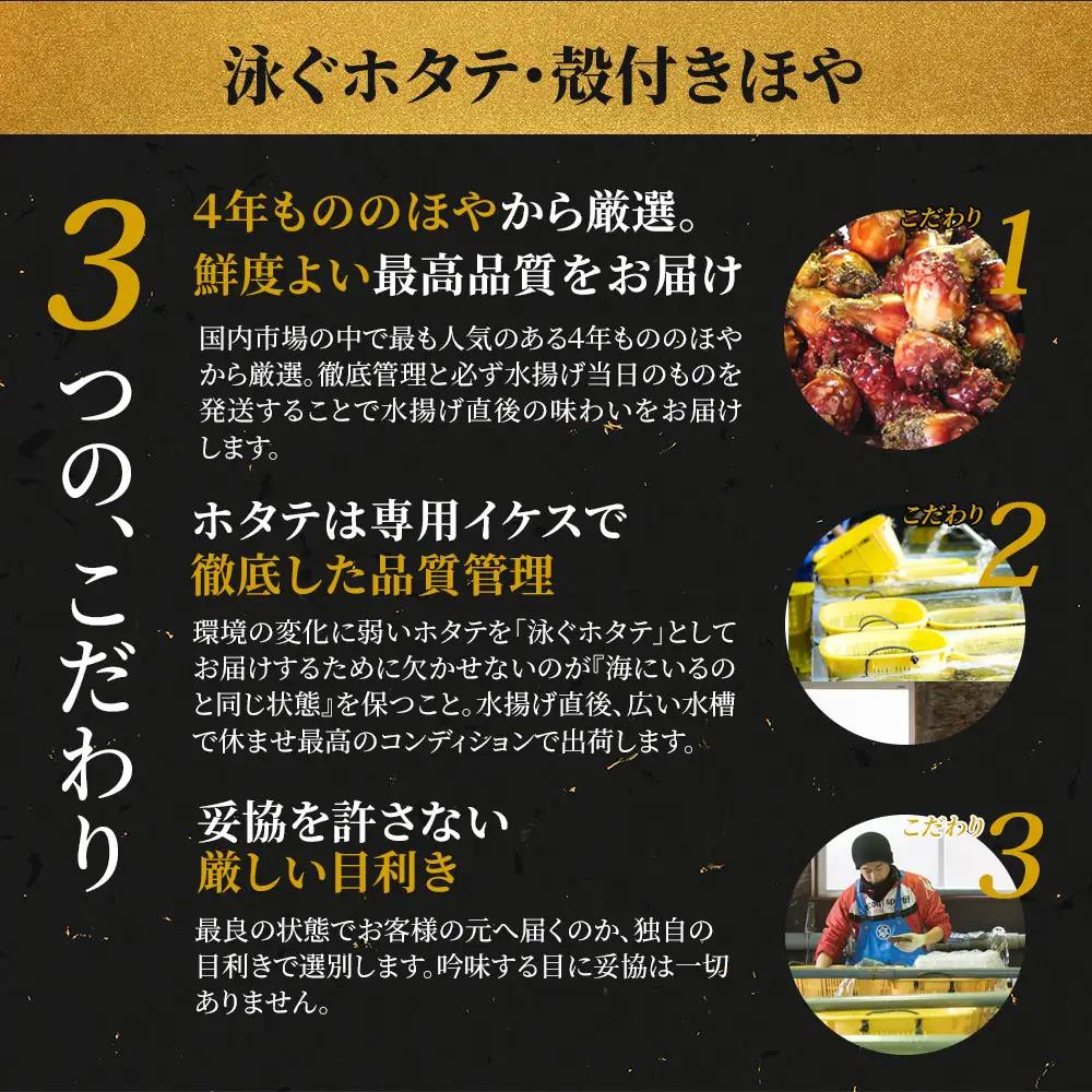 fn-39-020 泳ぐホタテ・殻付きほや【5月中旬～7月末頃期間限定 お届け便】ヤマキイチ商店