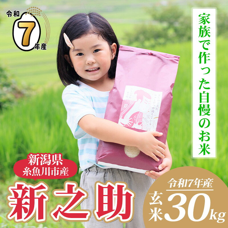 【ふるさと納税】令和7年産 新之助 玄米 30kg （精米サービス可能／小分け不可）【新潟県産 農家直送 新之助 2025年産 プロが認めた美味しいお米 百姓や伝六 美味しい 農家自慢 お米 白米 おにぎり お弁当 新潟米】