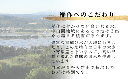 【JGAP認証農場】令和7年産 魚沼産コシヒカリ 特別栽培米「伊乎乃」 精米計15kg（5kg×1袋） 定期便毎月全3回 うちがまき絆【0002-UK11DB00-01】