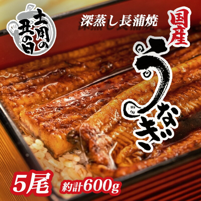 【ふるさと納税】 土用 丑の日 対応 うなぎ 蒲焼 国産 5尾 漁協オリジナル 深蒸し 蒲焼き たれ付き 1尾 約120g-130g 土用の丑の日 鰻 ウナギ うな重 うな丼 蒲焼セット 贈答用 ギフト 高級 老舗 国内産 養殖 ふっくら 柔らかい 特産品 グルメ 返礼品 沼津市 静岡県