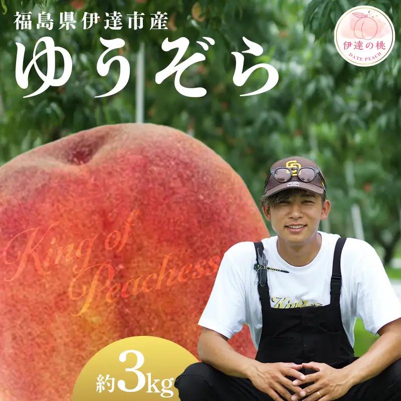 福島県産 桃 ゆうぞら 約3kg(8～12玉) KING OF PEACHESS キングオブピーチ 伊達の桃 桃 フルーツ 果物 もも モモ momo F21C-539