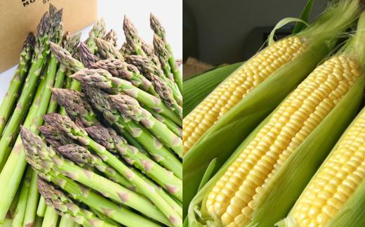 【令和８年産予約受付！】～美瑛の四季～ 野菜の定期便【白樺】4回便[036-46]