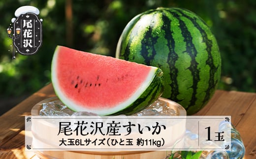 先行予約 尾花沢産すいか 6Lサイズ 約11kg×1玉 7月中旬～8月中旬頃発送 令和7年産 2025年産 すいか スイカ 西瓜 フルーツ 果物 産地直送 農産加工 ※沖縄・離島への配送不可 nk-su6xx1