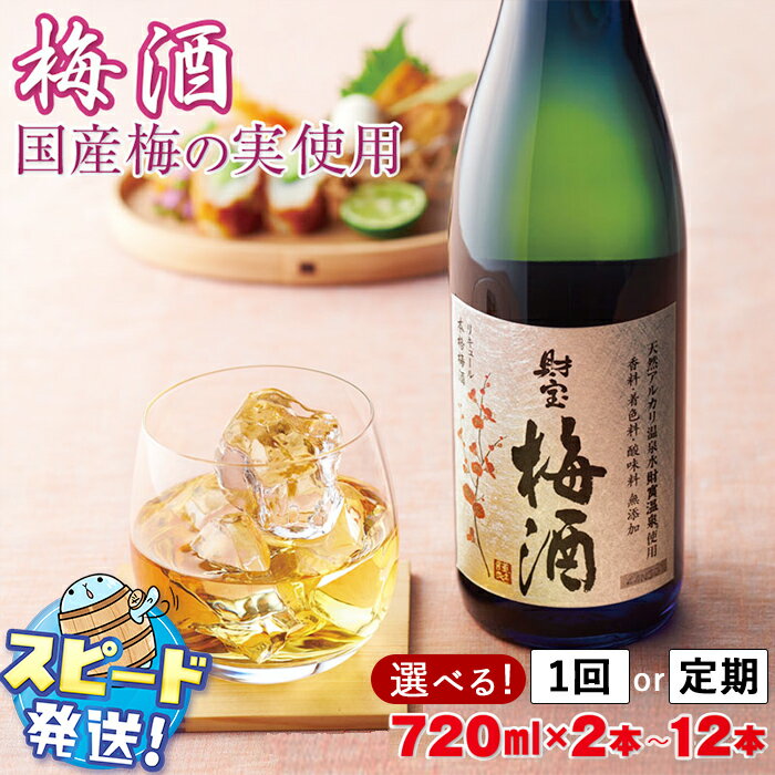 【ふるさと納税】＜すぐ届く！＞ 梅酒 2本セット 国産梅 国産はちみつ 使用 濃厚な味わい 4合瓶 720ml アルコール 12度 天然アルカリ温泉水 財寶温泉 使用 本格梅酒 定期便 ストレート ロック 炭酸割り 水割り 女性 人気 鹿児島県 【財宝】