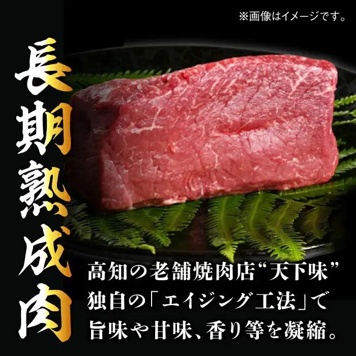 エイジング工法 熟成肉 土佐あかうし 特選赤身 ブロック 約500g 冷凍 【株式会社LATERAL】 [ATAY011]