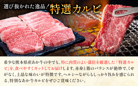 熊本あか牛 特選カルビ 500g 合同会社たべたせいか《30日以内に出荷予定(土日祝除く)》熊本県 菊池市 肉 牛肉 お肉 和牛 あか牛 焼き肉 焼肉 やきにく BBQ バーベキュー 特選 カルビ 熊