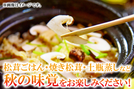 F-950 国産まつたけ　1㎏