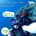 【ふるさと納税】【初級者Cカード発行プラン】Open Water Diving コース 1名様 [DBB002] 長崎 五島列島 小値賀 島旅 旅行 ダイビング 海 アクティビティ 260000 260000円 26万円