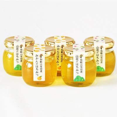 ふるさと納税 有田市 有田伊藤農園　みかんのはちみつと山花のはちみつ5個セット