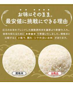 【令和7年産含む】 近江ブレンド米 5kg 愛荘町産 白米 精米 米 お米 単一原料米 ブランド米 銘柄米 国産 ご飯 白飯 ゴハン 食品 支援 支援品 生活支援 生活応援 送料無料 AY001 [A