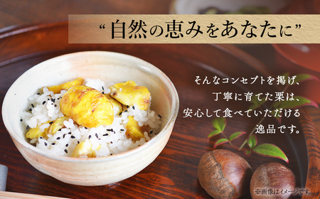 京都丹波産　丹波くり（手むき栗）銀寄・筑波L 600ｇ FCFB004 ふるさと納税 栗 くり 丹波栗 丹波くり むき栗 むきぐり 銀寄 筑波 甘味 おやつ 栗ご飯 お菓子作り 無農薬 京都府 福知山