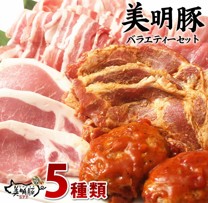 【ふるさと納税】【美明豚】バラエティーセット　豚肉 美明豚 ブランド豚 詰め合わせ セット 国産 モモ肉 もも バラ ハンバーグ 味噌漬け 切り身 切り落とし 贈答用　ロース　バラ肉　肩ロース｜J-1