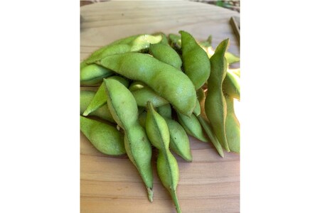 【先行予約／数量限定40】京都夏黒枝豆さや 500g（250g×2パック）（2026年7月中旬～発送）