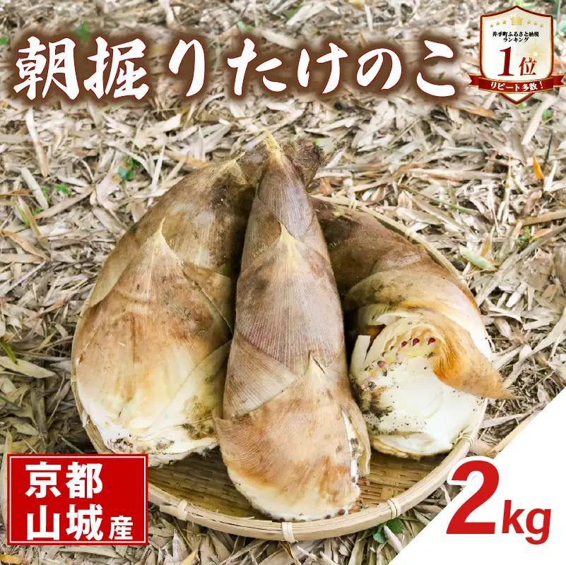 京都山城産 朝掘りたけのこ 2kg (4月発送) 【 たけのこ 】
