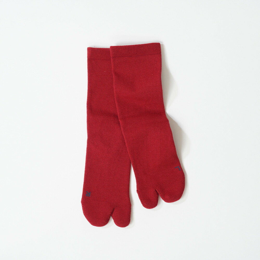 【ふるさと納税】アミタビ ベーシック 2Pセット(タイコー)