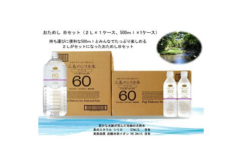 おためしBセット【三島シリカ水プラス60】２L （６本入）　1ケース　500ml(24本入)　1ケース 【 ミネラルウォーター 静岡県 三島市 】