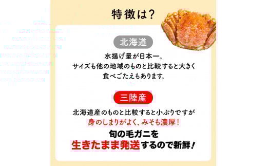【令和7年発送】三陸産！活毛ガニセット  400g相当×10杯【2025年2月~4月発送】【配送日指定不可】