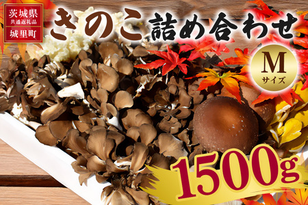 きのこの詰め合わせ Mサイズ 1.5kg 茨城県共通返礼品 城里町産 舞茸 椎茸 あわび茸 たもぎ茸 はなびら茸 完全室内栽培 栽培期間中農薬不使用 安心 安全 栄養豊富 こだわりのキノコ詰め合わせ 直送 新鮮 旬 おすすめ セット 贈り物
