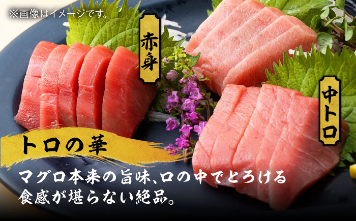 【全6回定期便】対馬産 本マグロ 500g（赤身300g、中トロ200g） ≪対馬市≫【桐谷商店】 トロの華 対馬 新鮮 マグロ トロ 鮪 刺身 鮮度抜群 [WAQ045]