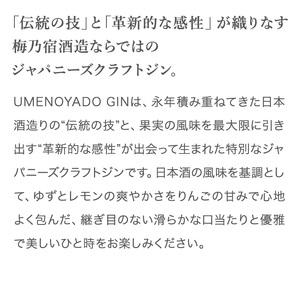 UMENOYADO GIN 750ml ／ 梅乃宿酒造 44度 ジン【umyd036】