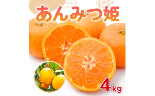 佐賀県産みかん あんみつ姫 4kg 114-B1015
