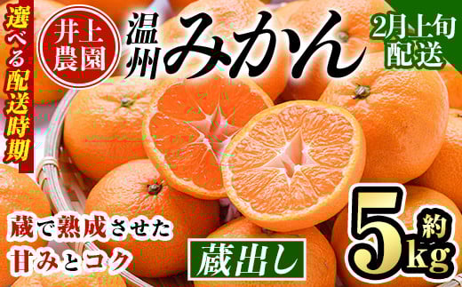 ＜2月上旬より順次発送予定＞大分県宇佐市産 蔵出し みかん(約5kg)ミカン 蜜柑 柑橘 フルーツ 果物 くだもの 果実 国産 熟成【103640300】【井上農園】