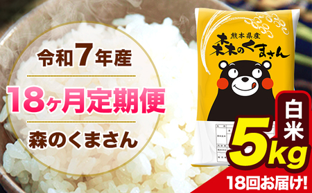 【18ヶ月定期便】令和7年産 森のくまさん 白米 5kg 5kg×1袋 計18回お届け 《お申込み翌月から出荷》 お米 こめ 熊本県産 ご飯 備蓄
