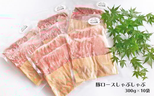 しゃぶしゃぶ 用！グランプリ受賞の 豚ロース 3.0kg 豚肉 スライス |   小分け ブランド豚 熊本 和水町 火の本豚 肉 豚肉 にく ミート しゃぶしゃぶ 肉じゃが 高評価 人気 冷凍 スライ