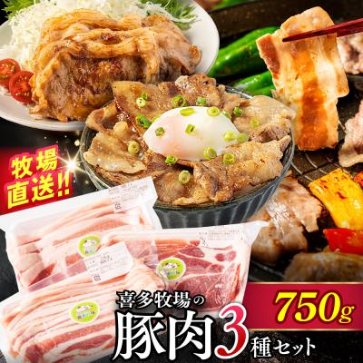 ふるさと納税 紋別市 喜多牧場の豚肉3種セット