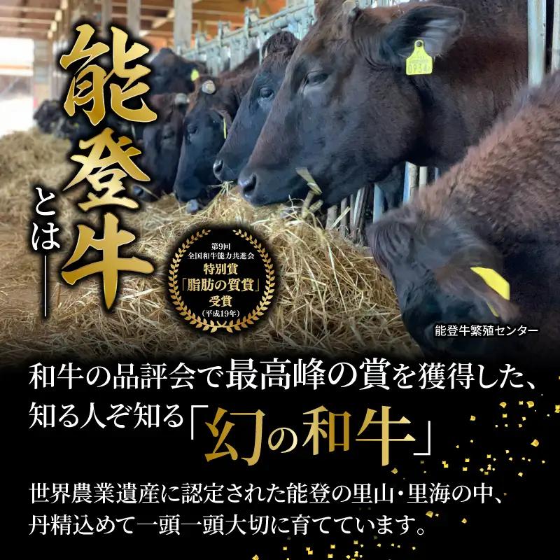 サーロインステーキ 和牛 能登牛 800g ( 200g × 4枚 ) ステーキ
