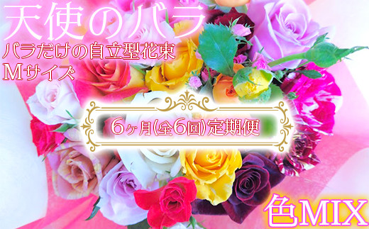 
                  【天使のバラ】全6回定期便 薔薇だけの自立型花束Mサイズ（色MIX）＜141-832＞
                