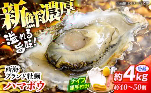 牡蠣 カキ 【着日指定可】西海 ブランド 牡蠣 「 ハマボウ 」 約4kg（40～50個）（中～大サイズ）＜ハマフジ水産＞ [CES006] カキ 牡蠣 生ガキ 4kg 日時指定 冷蔵 牡蠣 カキ 牡蠣 kaki 長崎 西海 magaki
