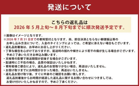 熊本県産 大玉スイカ1玉とマスクメロン1玉 合計2玉 【2026年5月上旬発送開始】 果物 フルーツ 大玉 スイカ 青肉 メロン