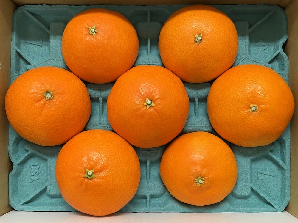 一玉ずつ大切に、専用の化粧箱に詰め合わせてお届けします。