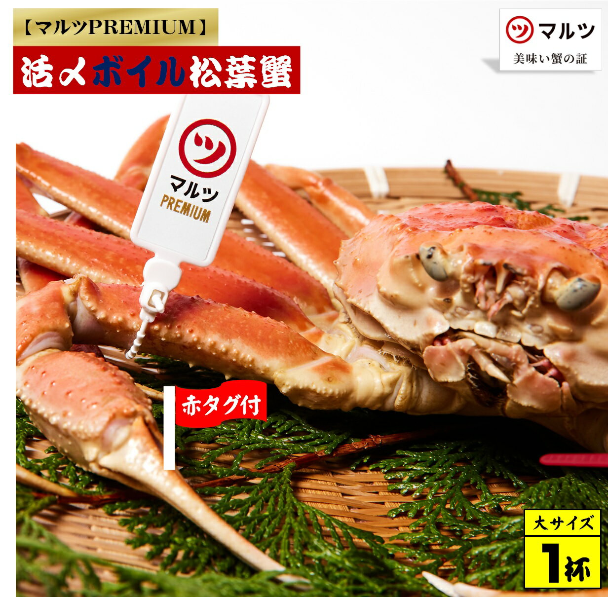 【ふるさと納税】先行予約【赤タグ付き】【マルツPREMIUM】活〆ボイル松葉蟹 900g以上×1杯 冷蔵 境港産【25-150-001】株式会社マルツ 松葉がに ボイル済 かに カニ 蟹 弾力 歯ごたえ 甘み 海の幸 鳥取県産 鳥取県 米子市 期間限定