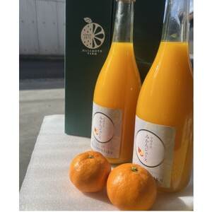 【正本農園】温州みかんジュース 720ml×2本【C96-7】【1712335】