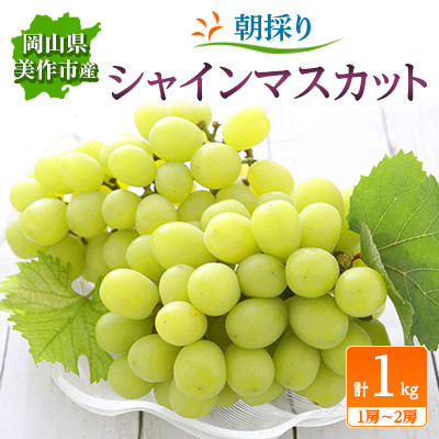 
                  朝採りシャインマスカット　1kg(1房～2房)【1142640】
                