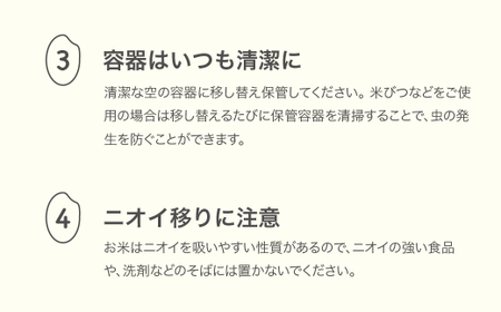 【先行予約】 新米 米 10kg 5kg×2 雪若丸 精米 令和7年産 2025年産 山形県産 ※沖縄・離島への配送不可 mk-ywxxa10
