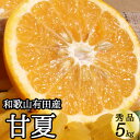 【ふるさと納税】【限定】 甘夏 (あまなつ) 秀品 約5kg 和歌山県有田産 春みかん 春柑橘 (果実サイズおまかせ)/紀伊国屋文左衛門本舗