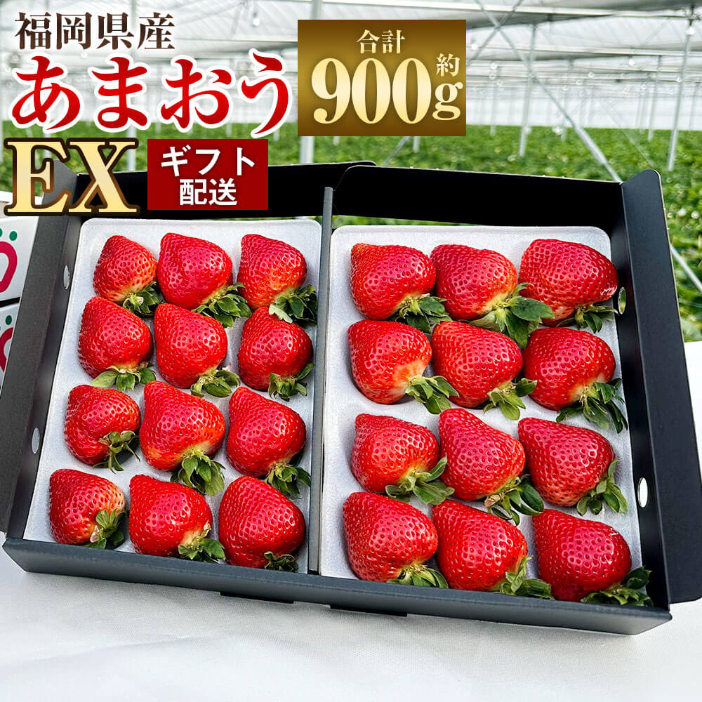 【ふるさと納税】【予約】ギフト配送 福岡県産 あまおう EX 合計約900g 約450g×2パック 特別栽培 【2026年1月上旬～3月下旬発送予定】 お取り寄せ いちご 苺 イチゴ フルーツ 果物 デザート スイーツ 九州産 国産 冷蔵 送料無料
