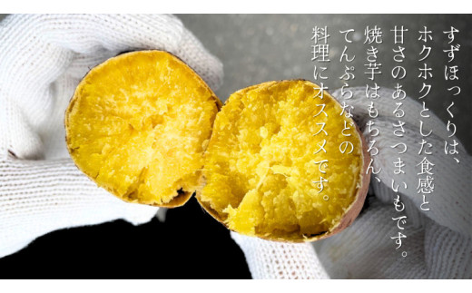 すずほっくり 約10kg 【茨城県共通返礼品／行方市】 渋谷農園 さつまいも  いも 芋 焼芋 [DT006sa]